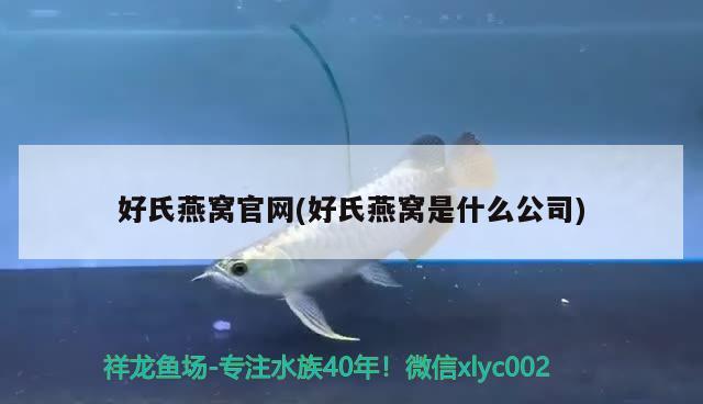 商丘魚缸維護(hù)（商丘魚缸維護(hù)公司）