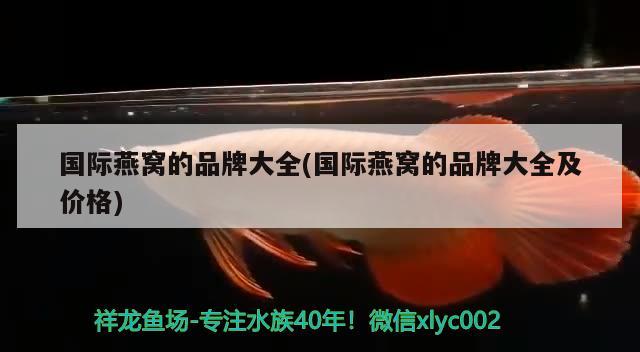 太北虎和泰虎的區(qū)別，如何讓虎魚不躲在角落 虎魚百科 第1張