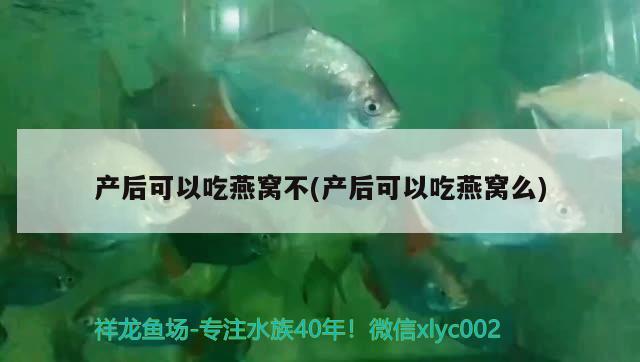 呼市哪有定做魚缸的地方呀魚缸定制在呼市，呼市哪有定做魚缸的地方呀