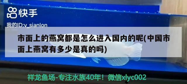 市面上的燕窩都是怎么進入國內(nèi)的呢(中國市面上燕窩有多少是真的嗎) 馬來西亞燕窩