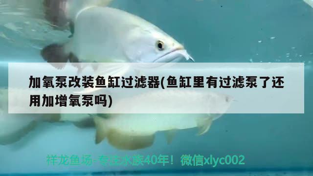 加氧泵改裝魚缸過濾器(魚缸里有過濾泵了還用加增氧泵嗎)