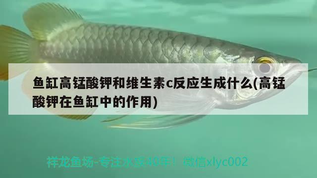 魚(yú)缸哪個(gè)牌子過(guò)濾器好用又實(shí)惠呢圖片（魚(yú)缸哪個(gè)牌子過(guò)濾器好用又實(shí)惠呢圖片大全）