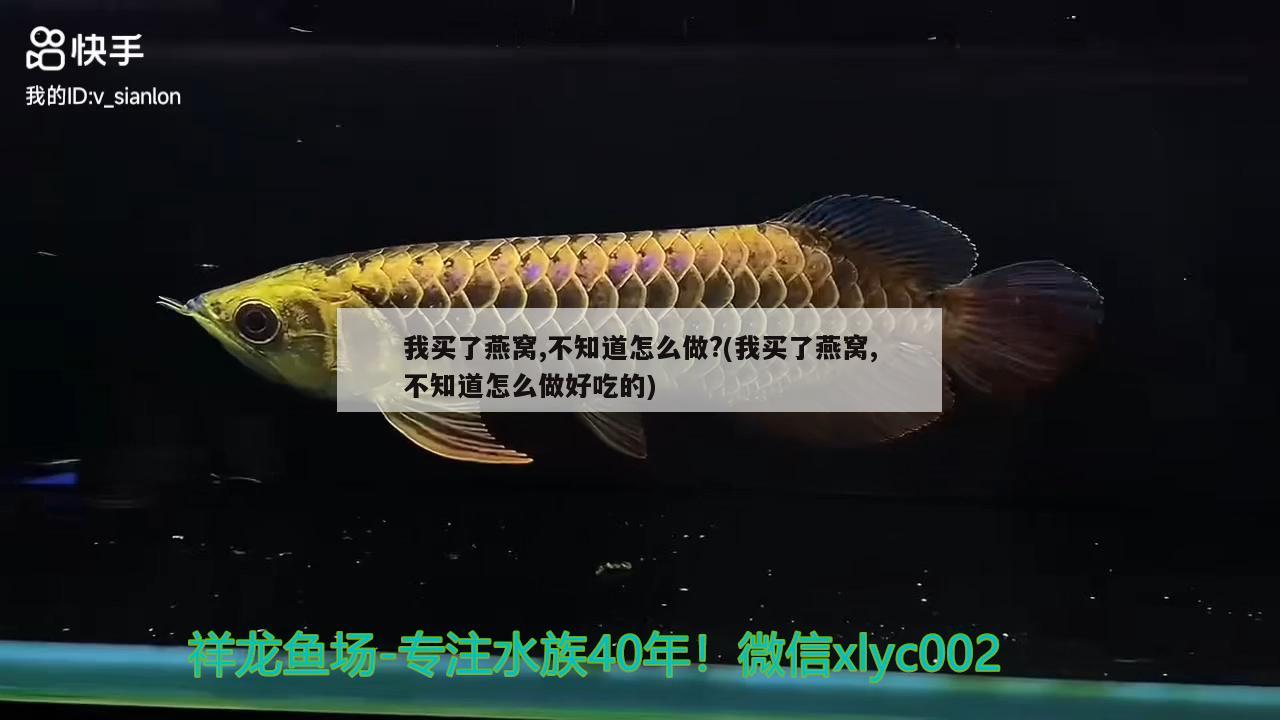 判斷魚缸水質好壞的指標有什么 海象魚 第2張