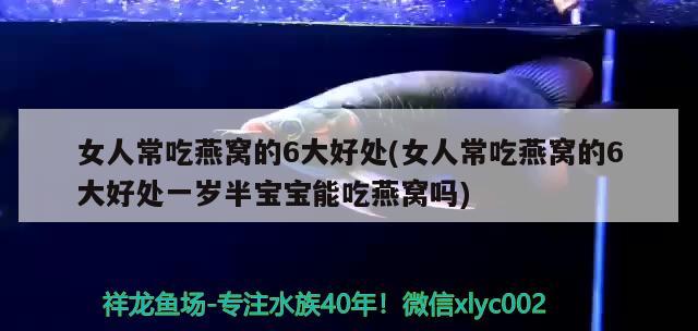 保定龍魚(yú)市場(chǎng)營(yíng)業(yè)時(shí)間電話號(hào)碼(保定龍魚(yú)市場(chǎng)營(yíng)業(yè)時(shí)間電話號(hào)碼查詢) 觀賞魚(yú)百科 第1張