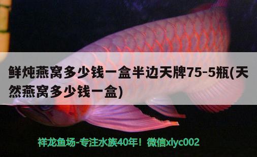 遼陽觀賞魚市場快50厘米啦 觀賞魚市場（混養(yǎng)魚） 第3張