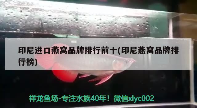 包含金龍魚虎魚大小選擇圖的詞條