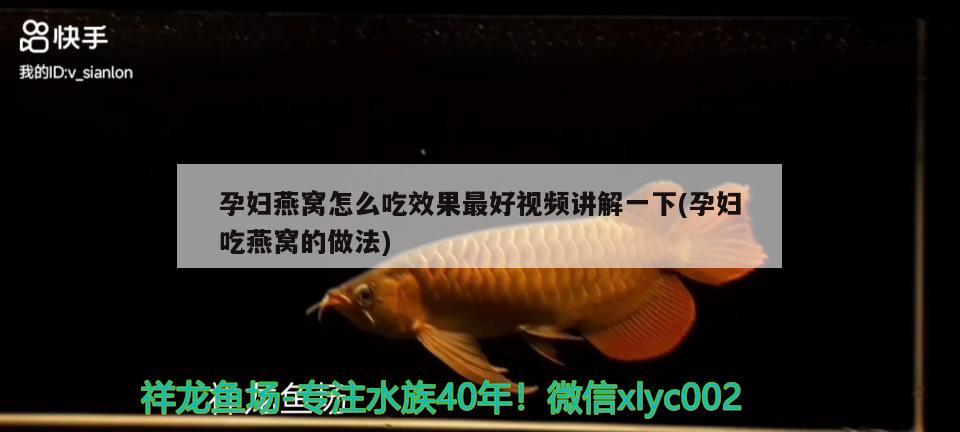 魚缸清洗神器怎么用圖解視頻(新魚缸怎么清洗消毒視頻) 熱帶魚魚苗批發(fā)