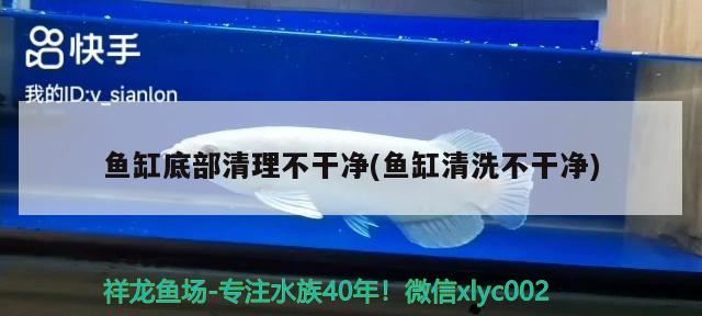 魚缸底部清理不干凈(魚缸清洗不干凈) 金龍魚糧