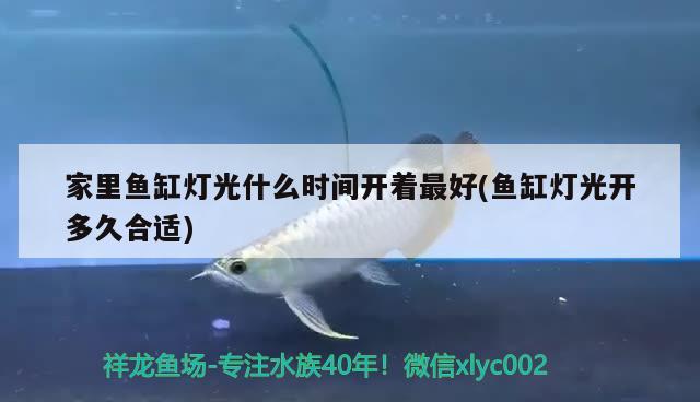 家里魚缸燈光什么時間開著最好(魚缸燈光開多久合適)