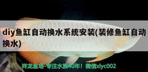 diy魚缸自動(dòng)換水系統(tǒng)安裝(裝修魚缸自動(dòng)換水) 銀古魚苗