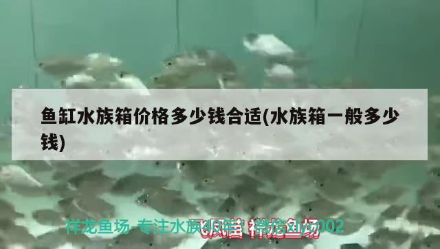 魚缸水族箱價(jià)格多少錢合適(水族箱一般多少錢) 魚缸/水族箱