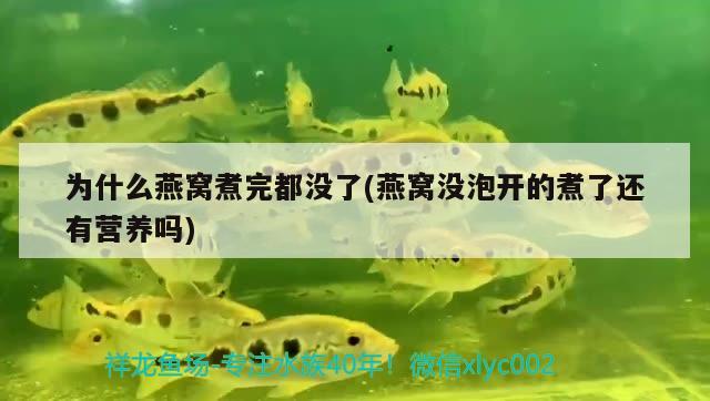 房間哪個(gè)位置適合放魚(yú)缸(房間哪個(gè)位置適合放魚(yú)缸風(fēng)水好) 紅魔王銀版魚(yú)