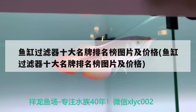 羅漢魚沉木可以放進魚缸嗎，養(yǎng)羅漢的魚缸里能不能放一些貝殼或假山之類的東西呢