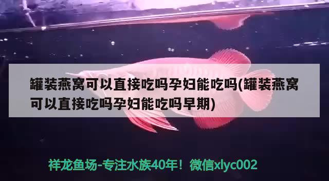 罐裝燕窩可以直接吃嗎孕婦能吃嗎(罐裝燕窩可以直接吃嗎孕婦能吃嗎早期) 馬來西亞燕窩