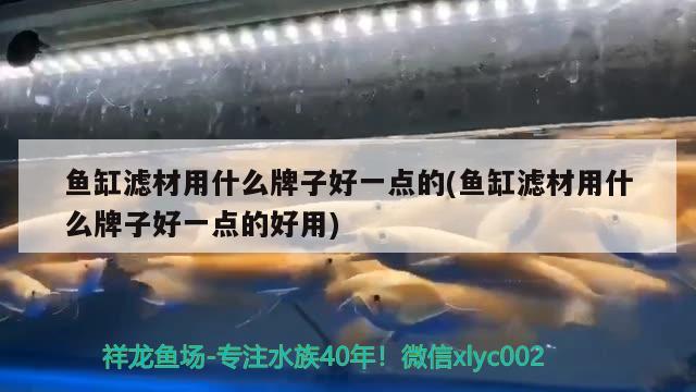 魚缸濾材用什么牌子好一點(diǎn)的(魚缸濾材用什么牌子好一點(diǎn)的好用)