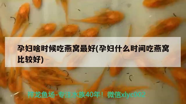 大海最大的鯨魚視頻大全圖片大全圖片下載進(jìn)行解釋，世界上最大的鯨魚有多大呢？ 青龍魚 第3張