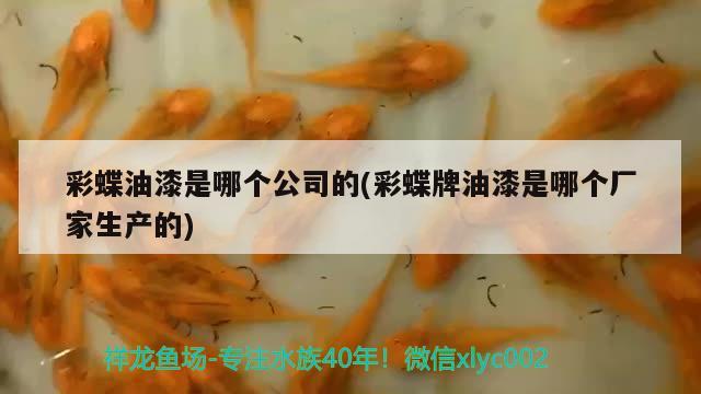 彩蝶油漆是哪個公司的(彩蝶牌油漆是哪個廠家生產(chǎn)的) 白子金龍魚