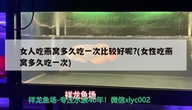 晚上掉色龍魚(yú)圈 白子黑帝王魟魚(yú) 第2張