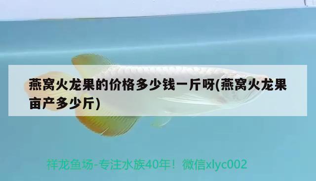 天津水族批發(fā)市場祥龍魚場電話地址是多少（天津水族批發(fā)市場祥龍魚場電話地址是多少號）