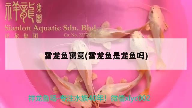 徐文榮簡(jiǎn)介，你對(duì)于南京金鷹失火有什么看法