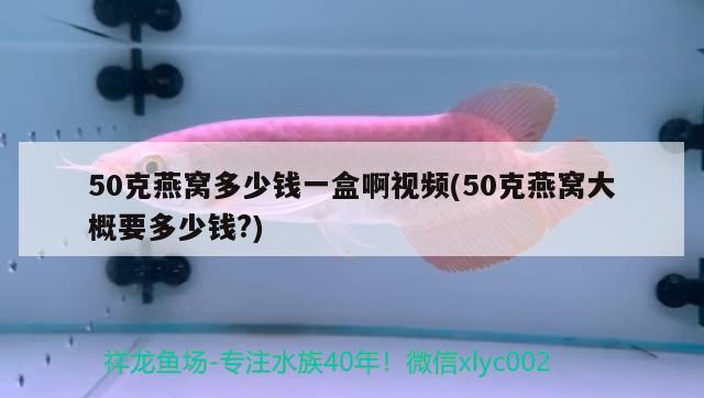 50克燕窩多少錢一盒啊視頻(50克燕窩大概要多少錢?)