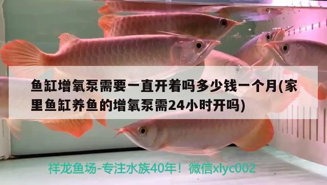 龍魚掉眼是什么樣子龍魚掉眼是什么樣子龍魚掉眼是什么樣子，龍魚為什么會掉眼 ?；?異型虎魚/純色虎魚 第1張