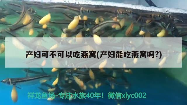 凌河區(qū)大勇水族用品店 水族用品 第3張