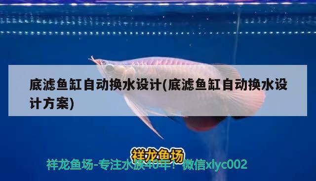 底濾魚缸自動換水設計(底濾魚缸自動換水設計方案) 廣州水族器材濾材批發(fā)市場