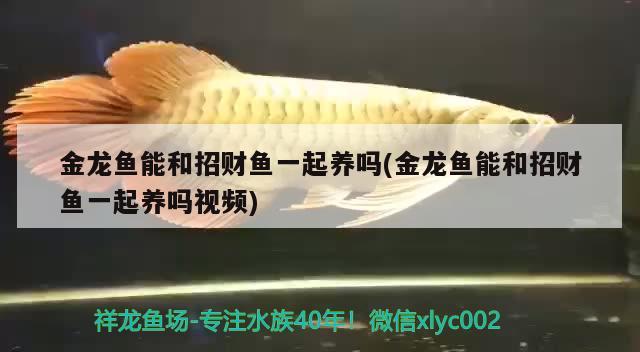 隴南水族批發(fā)市場(chǎng)地址電話是多少號(hào)，隴南海鮮批發(fā)市場(chǎng)