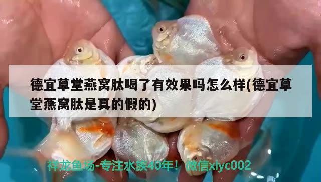 蘇州魚缸回收電話地址在哪里?。汉贾荻ㄗ隹酒狒~缸哪家做的好