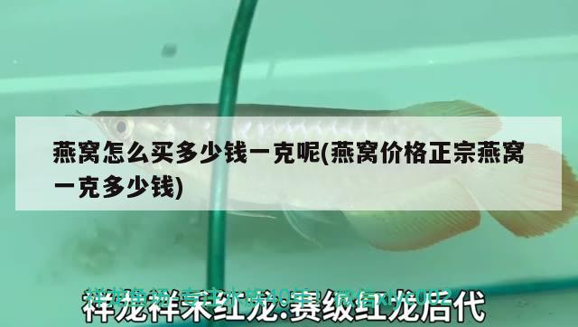 五線譜上區(qū)別各個(gè)音的組別，五線譜快速記憶法記憶口訣有哪些