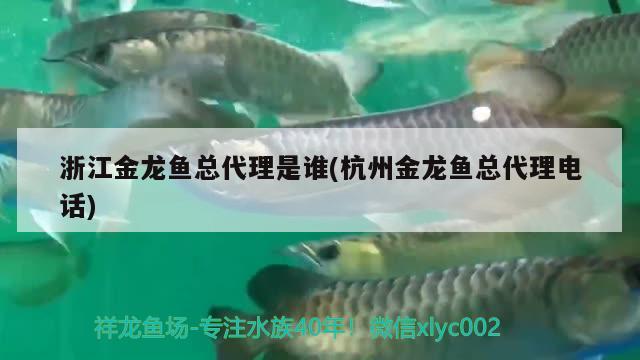 蘭州龍魚祥龍魚場在哪里（蘭州祥龍生態(tài)園好玩嗎） 祥龍魚場 第3張