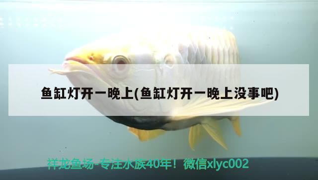 魚(yú)缸燈開(kāi)一晚上(魚(yú)缸燈開(kāi)一晚上沒(méi)事吧) iwish愛(ài)唯希品牌魚(yú)缸