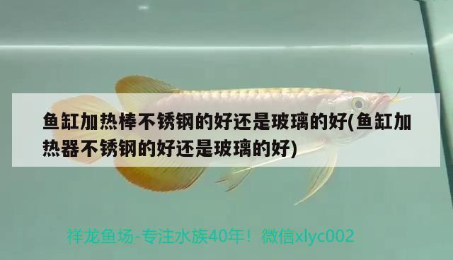 魚缸加熱棒不銹鋼的好還是玻璃的好(魚缸加熱器不銹鋼的好還是玻璃的好) 野彩魚