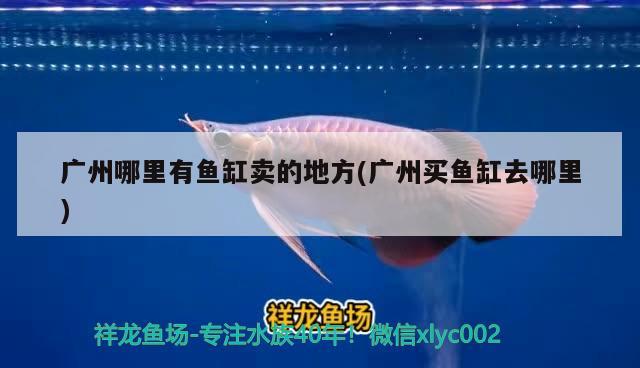 天王水族魚(yú)缸專賣店北京地址電話(天王水族魚(yú)缸專賣店北京地址電話是多少) 馬來(lái)西亞貓山王榴蓮 第2張