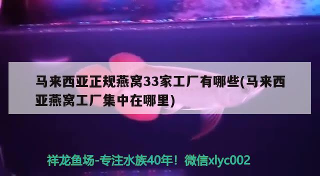 馬來(lái)西亞正規(guī)燕窩33家工廠(chǎng)有哪些(馬來(lái)西亞燕窩工廠(chǎng)集中在哪里) 馬來(lái)西亞燕窩