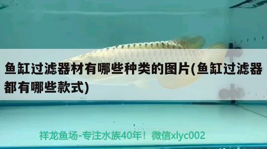 魚(yú)缸過(guò)濾器材有哪些種類(lèi)的圖片(魚(yú)缸過(guò)濾器都有哪些款式)