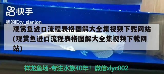 觀賞魚(yú)進(jìn)口流程表格圖解大全集視頻下載網(wǎng)站(觀賞魚(yú)進(jìn)口流程表格圖解大全集視頻下載網(wǎng)站)