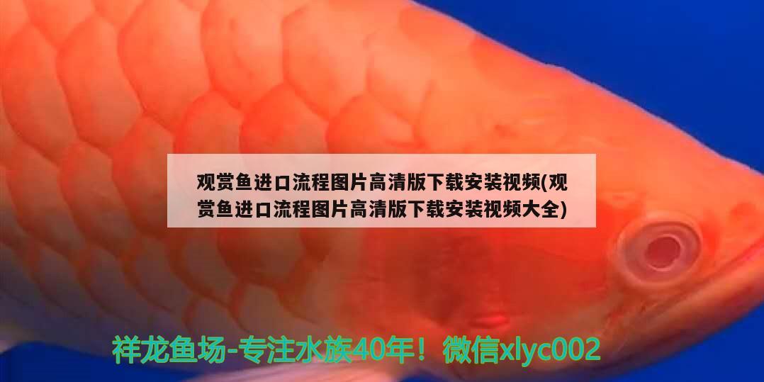 補水應該用什么水