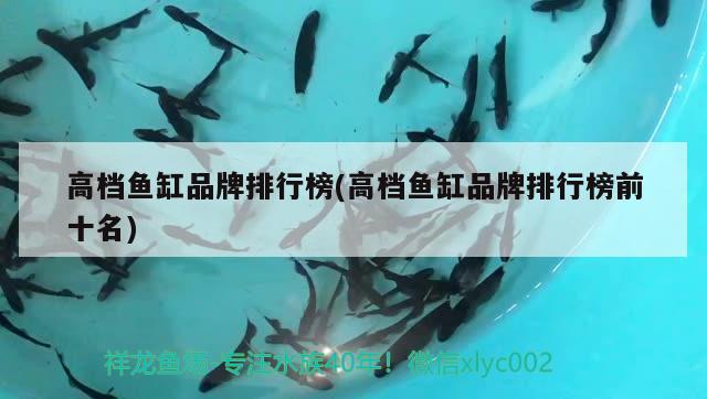 高檔魚缸品牌排行榜(高檔魚缸品牌排行榜前十名)