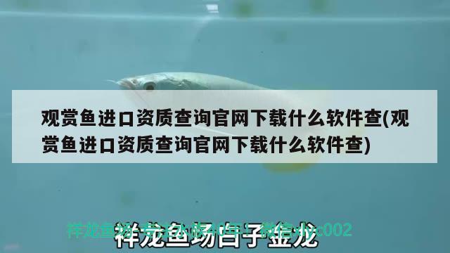 觀賞魚進口資質(zhì)查詢官網(wǎng)下載什么軟件查(觀賞魚進口資質(zhì)查詢官網(wǎng)下載什么軟件查) 觀賞魚進出口