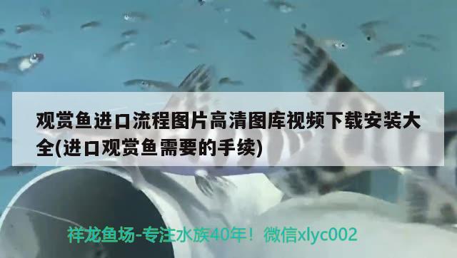 觀賞魚進口流程表格圖解視頻教程全集大全(觀賞魚進口流程表格圖解視頻教程全集大全) 觀賞魚進出口