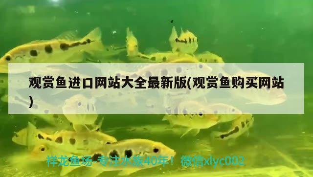 觀賞魚進(jìn)口網(wǎng)站大全最新版(觀賞魚購(gòu)買網(wǎng)站) 觀賞魚進(jìn)出口 第1張