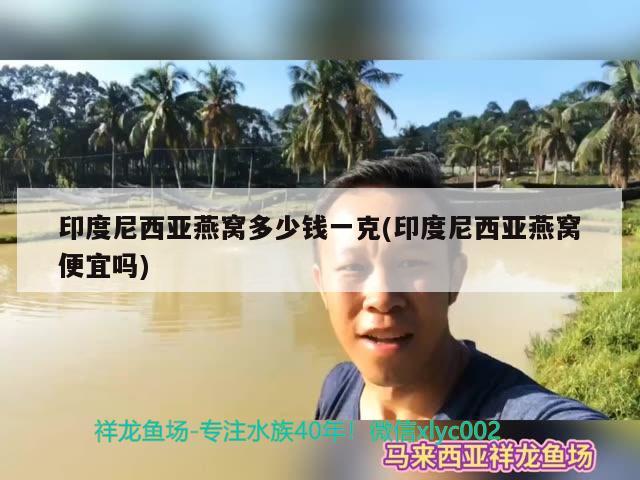 印度尼西亞燕窩多少錢一克(印度尼西亞燕窩便宜嗎) 馬來西亞燕窩