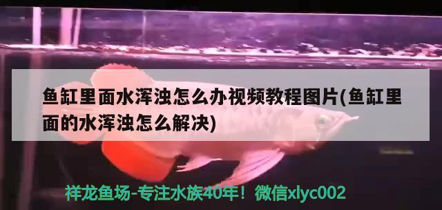 武漢魚缸定制在哪里找貨源啊電話及武漢魚缸定制的貨源渠道，武漢魚缸定制在哪里找貨源啊