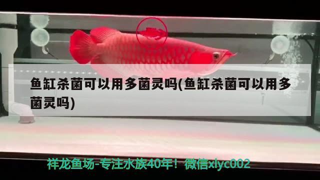 用亞克力做魚缸用什么膠水好亞克力魚缸用什么膠水好，用亞克力做魚缸用什么膠水好