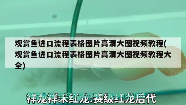 平輿縣豐源水族用品店 水族用品 第3張