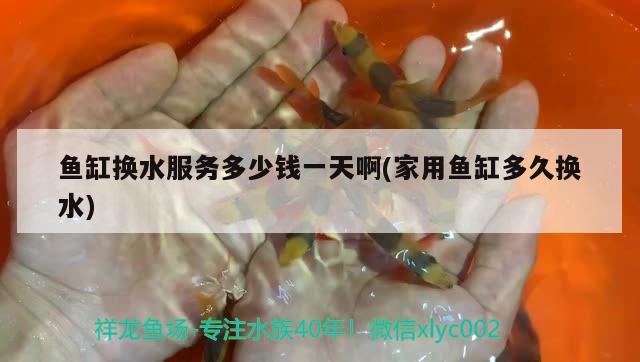 黃顙魚魚缸養(yǎng)殖技術(shù)圖片，黃顙魚魚缸養(yǎng)殖技術(shù)圖片大全，黃顙魚池塘養(yǎng)殖技術(shù) 元寶鳳凰魚 第3張