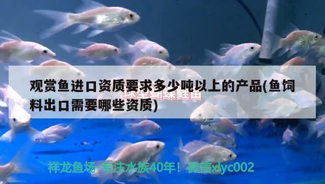 上海觀賞魚展會(huì)時(shí)間表安排圖片大全（上海觀賞魚協(xié)會(huì)） 斑馬狗頭魚