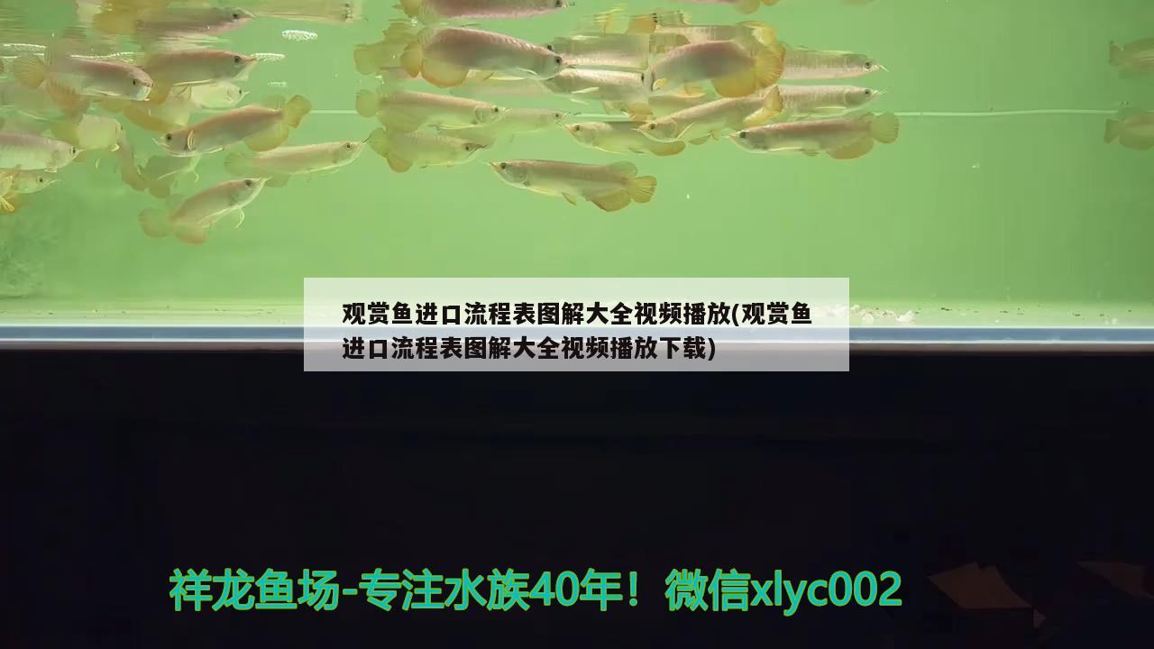 臨潼賣觀賞魚在什么地方買的多?。ù蟮卣鹎埃瑒游飩冋娴哪芟戎扔X預知地震嗎） 海水魚（海水魚批發(fā)） 第2張